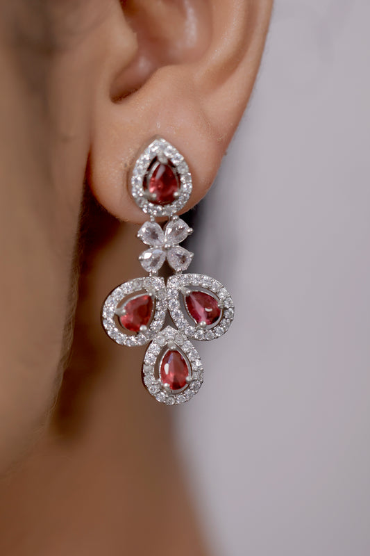 ad silver polish earrings