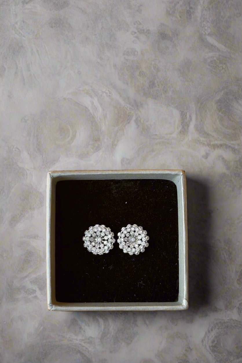 silver earrings