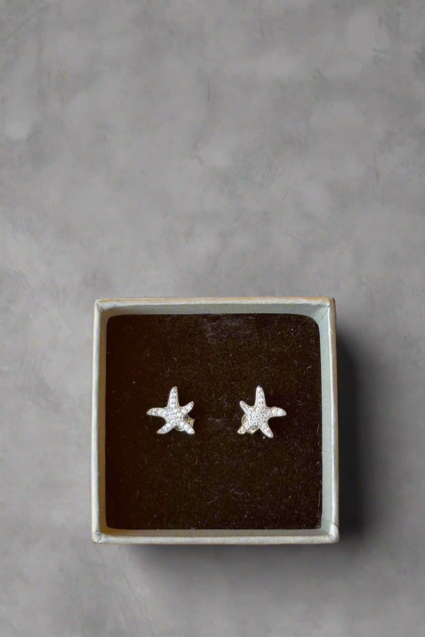 silver earrings