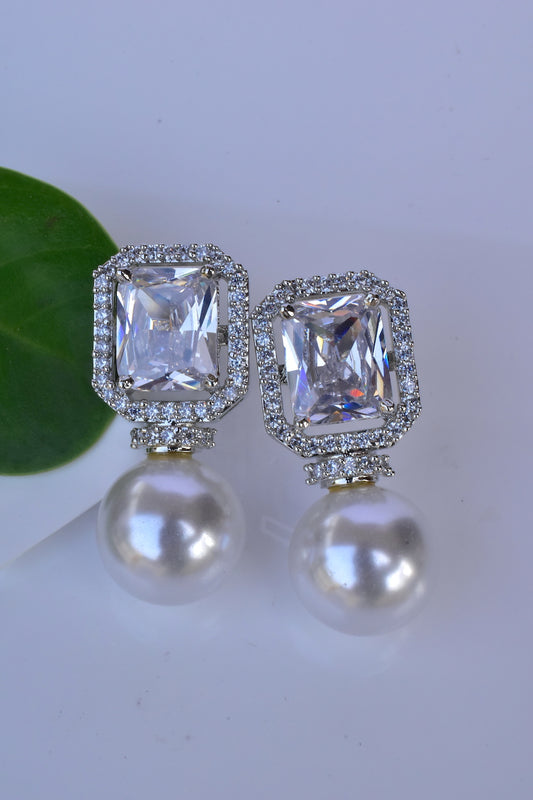 ad silver polish earrings