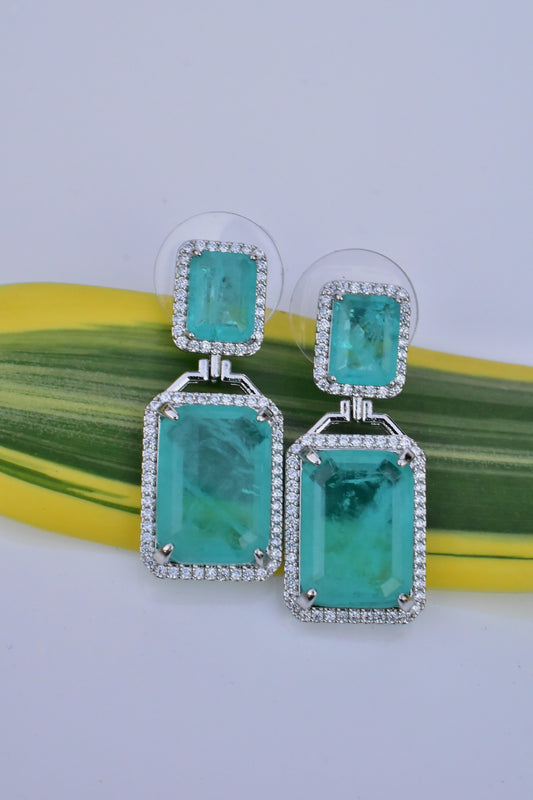 ad silver polish earrings