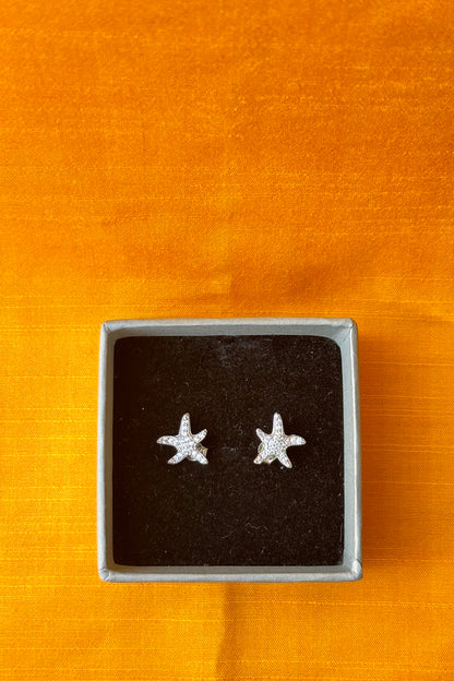 silver earrings